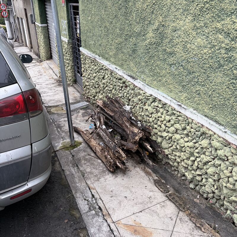 Imagem da publicação