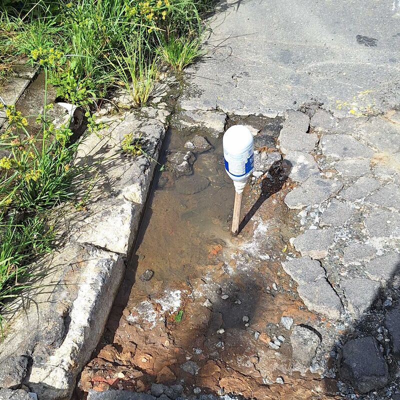 Imagem da publicação