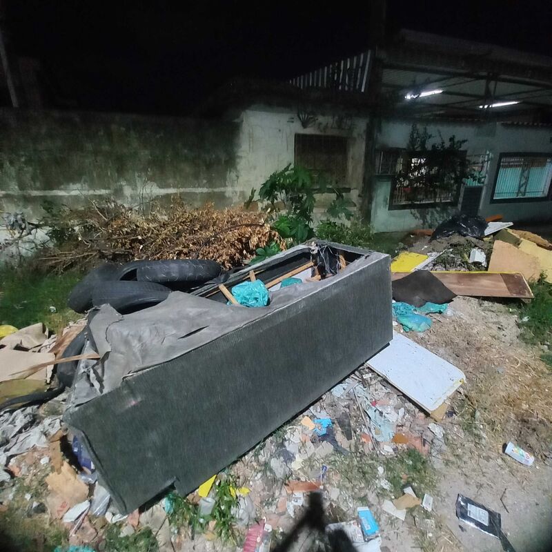 Imagem da publicação