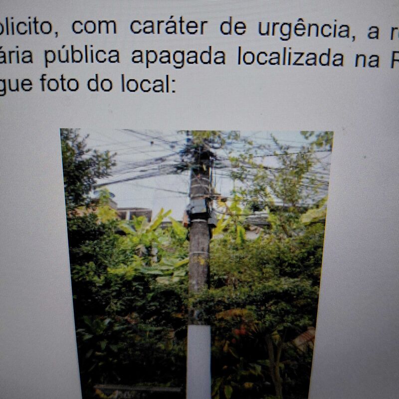 Imagem da publicação