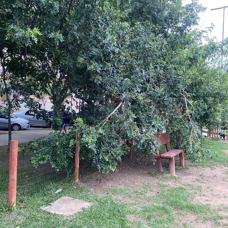 Imagem da publicação