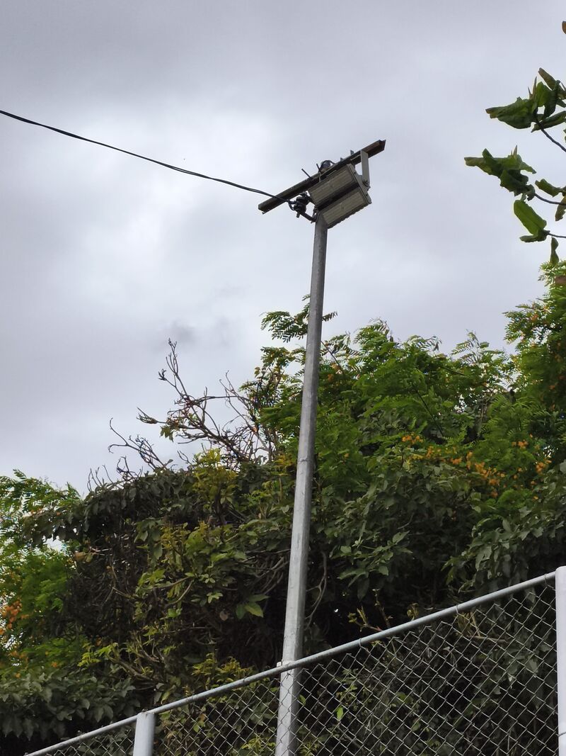 Imagem da publicação