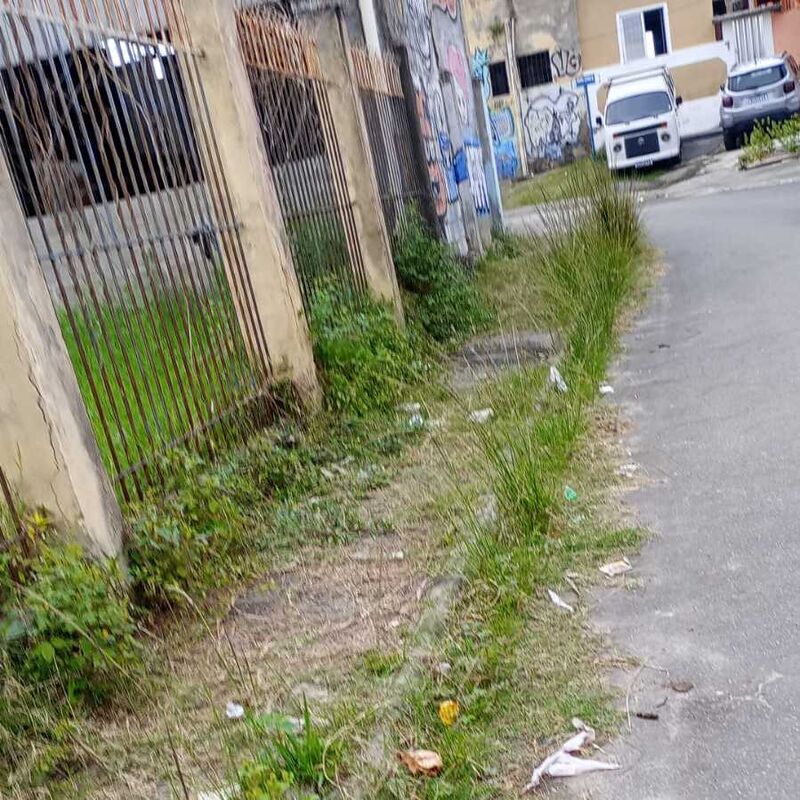 Imagem da publicação