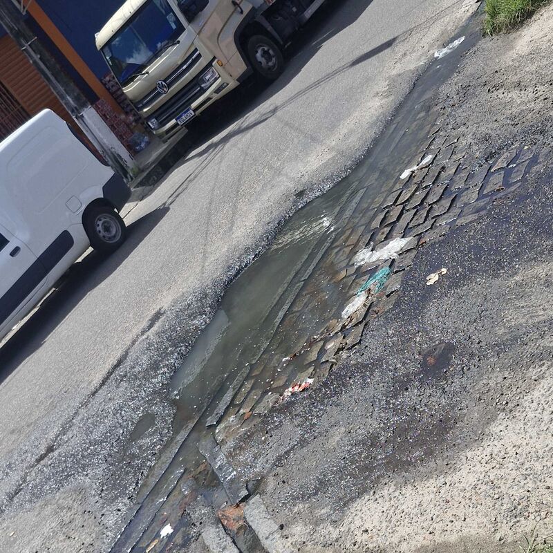 Imagem da publicação
