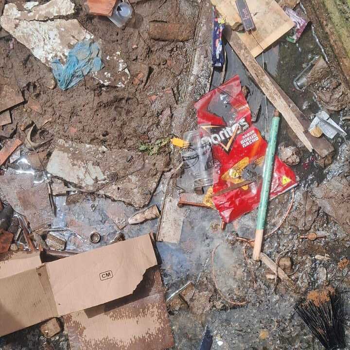 Imagem da publicação