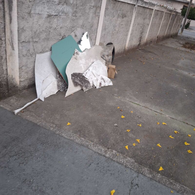 Imagem da publicação