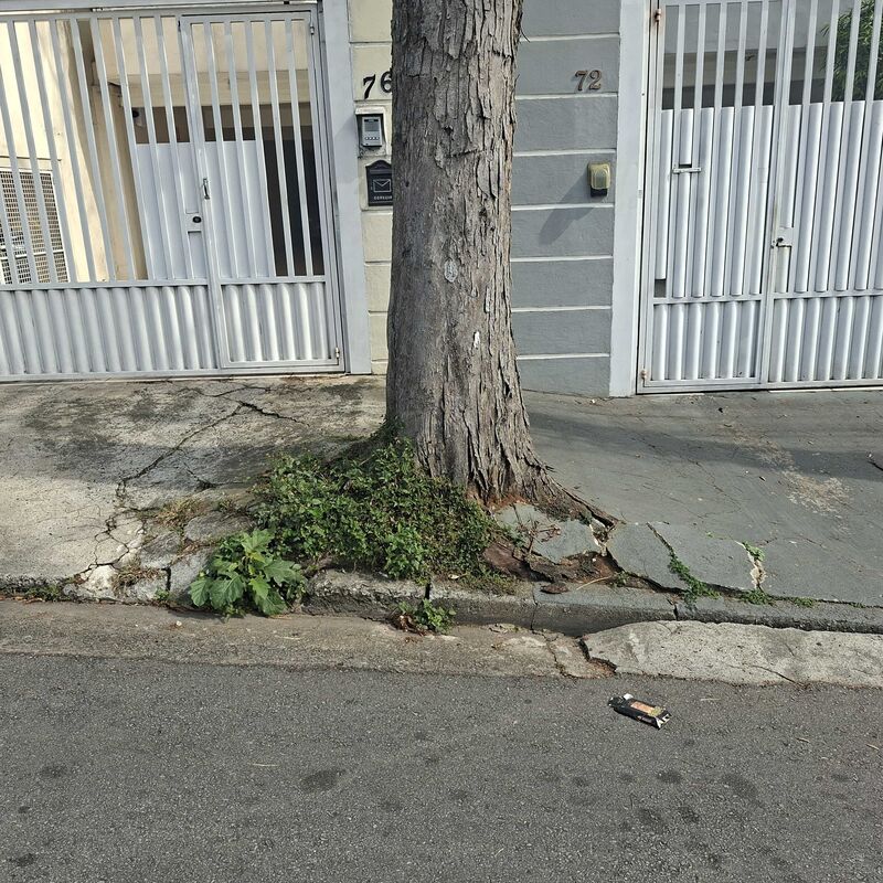 Imagem da publicação