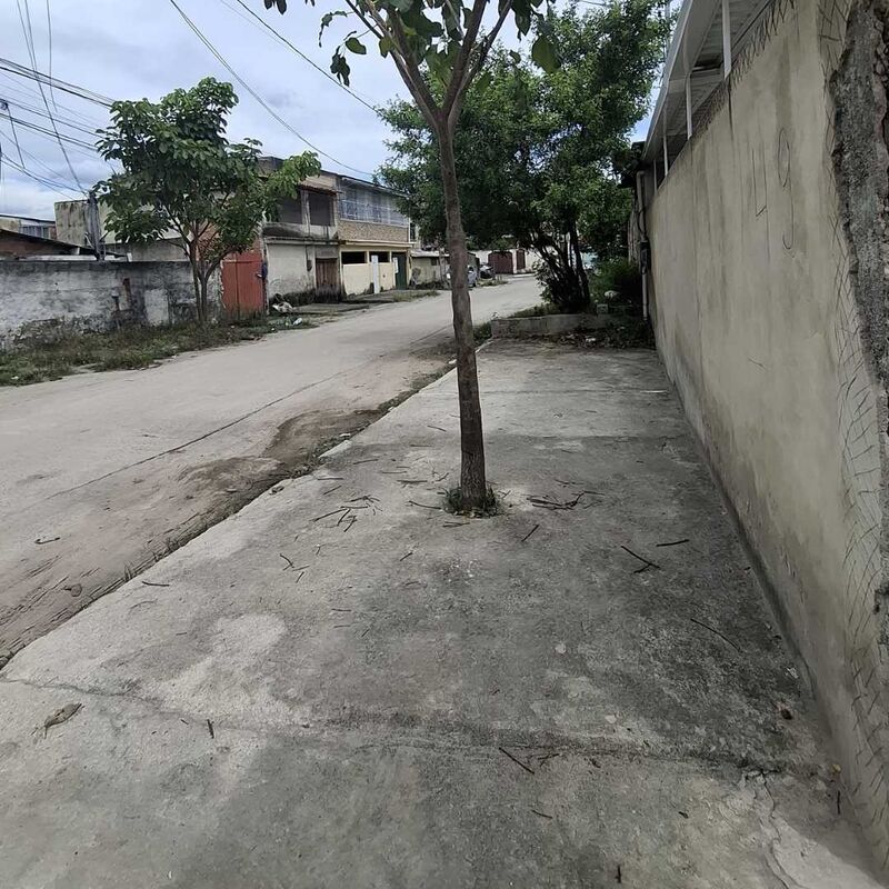 Imagem da publicação