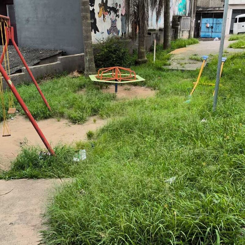 Imagem da publicação