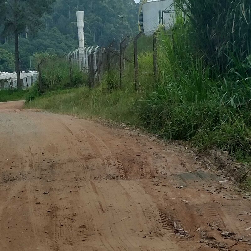 Imagem da publicação