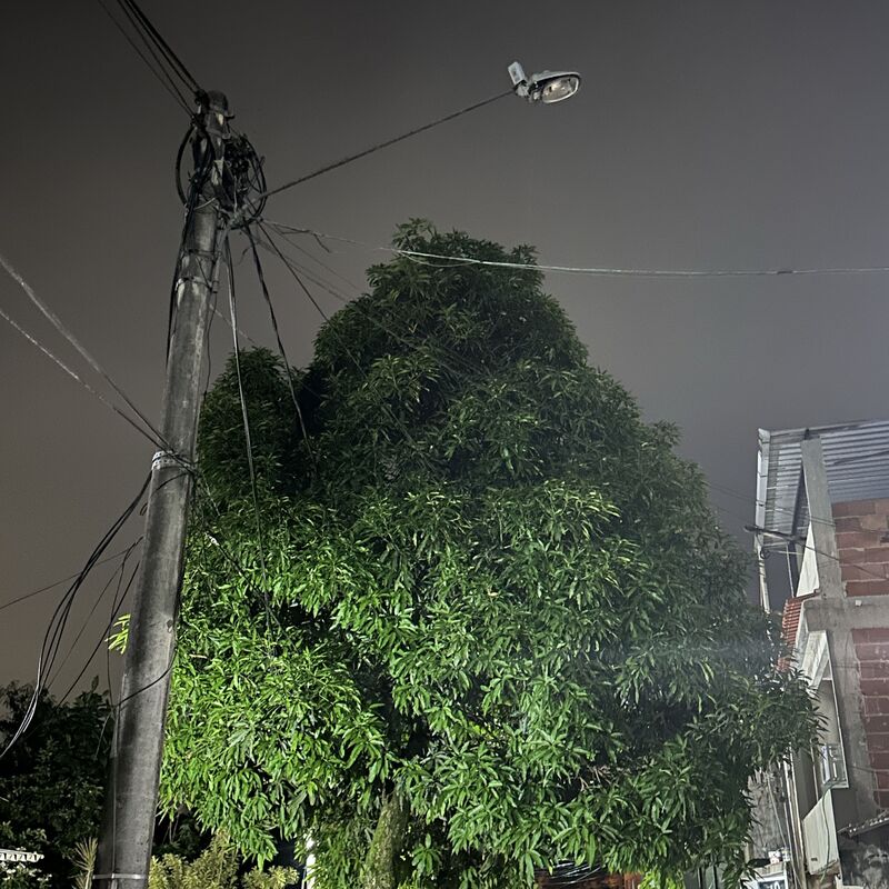 Imagem da publicação