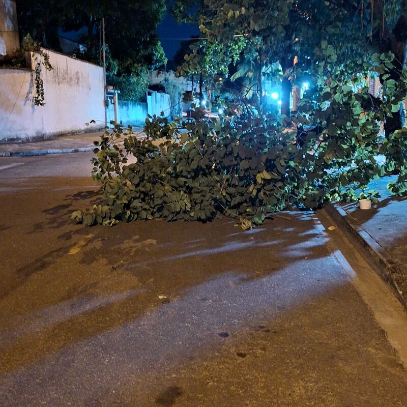 Imagem da publicação