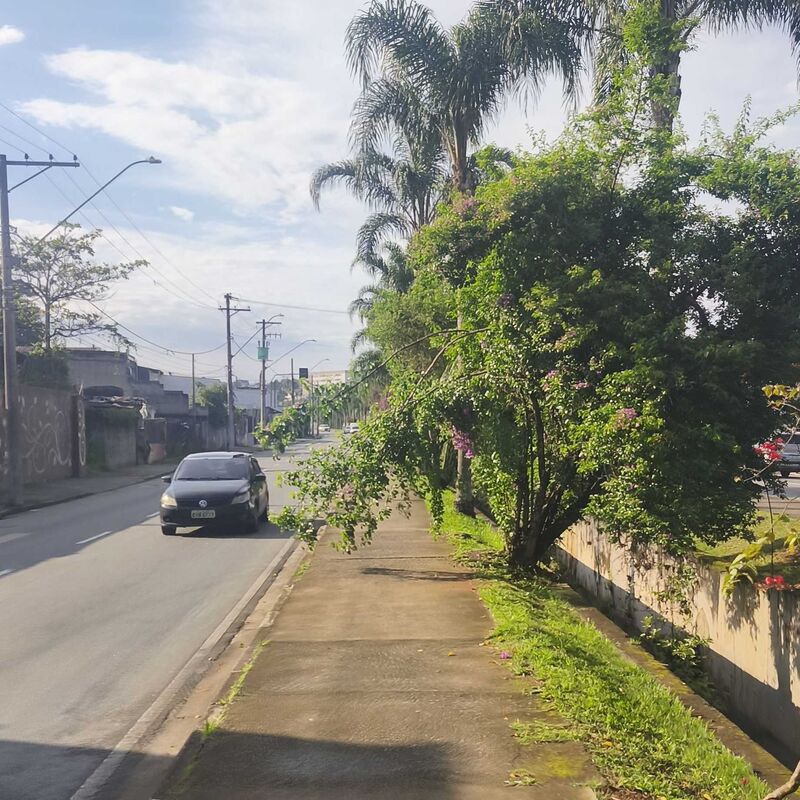 Imagem da publicação