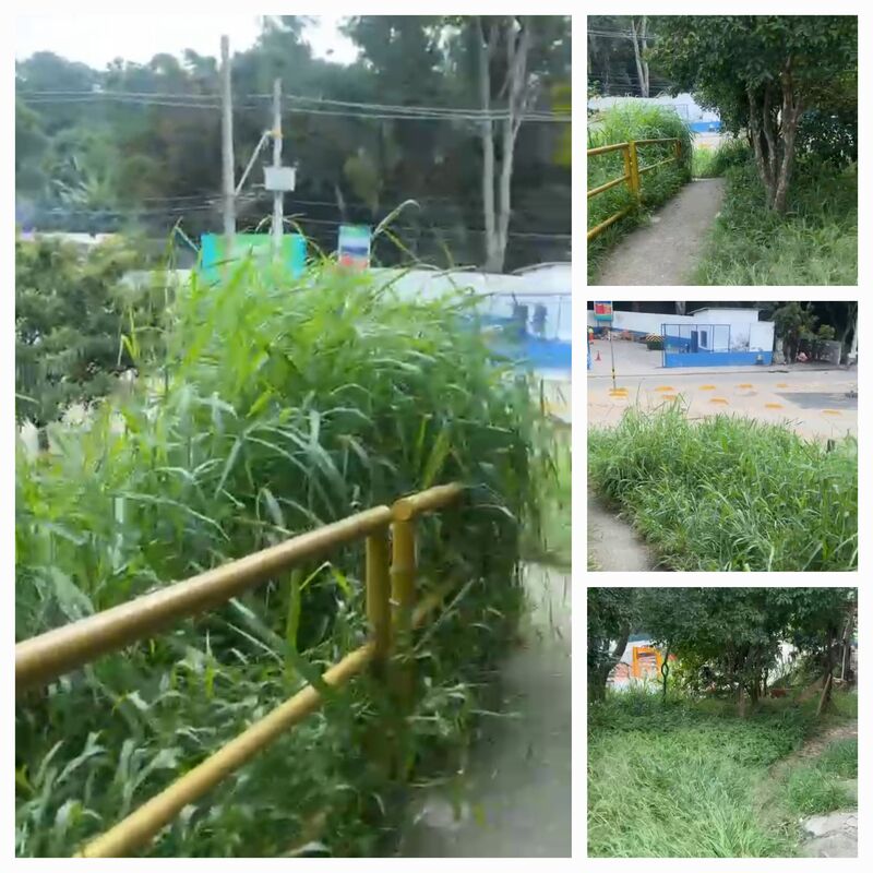 Imagem da publicação