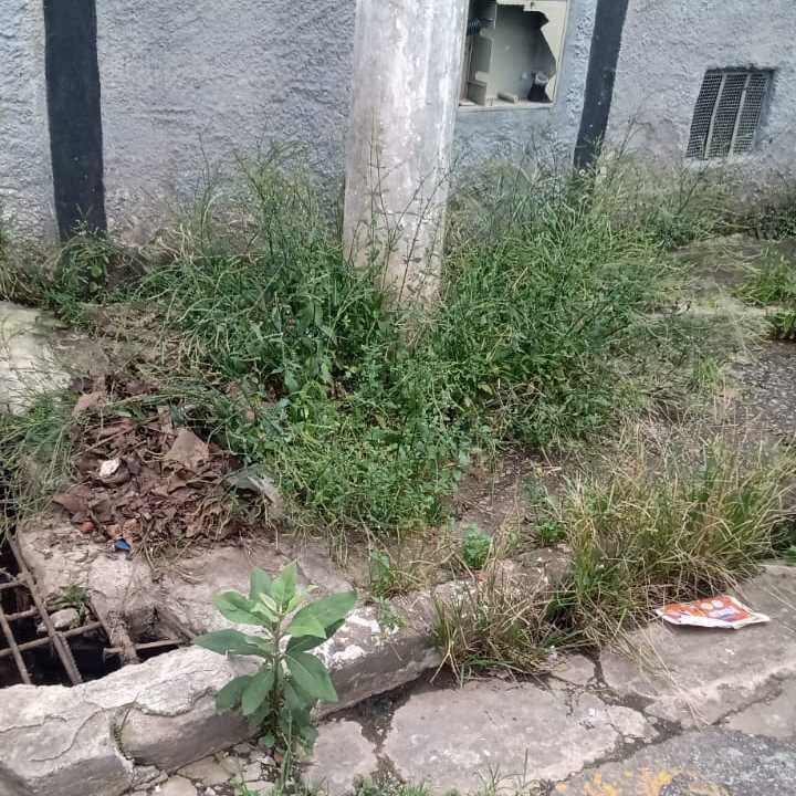 Imagem da publicação