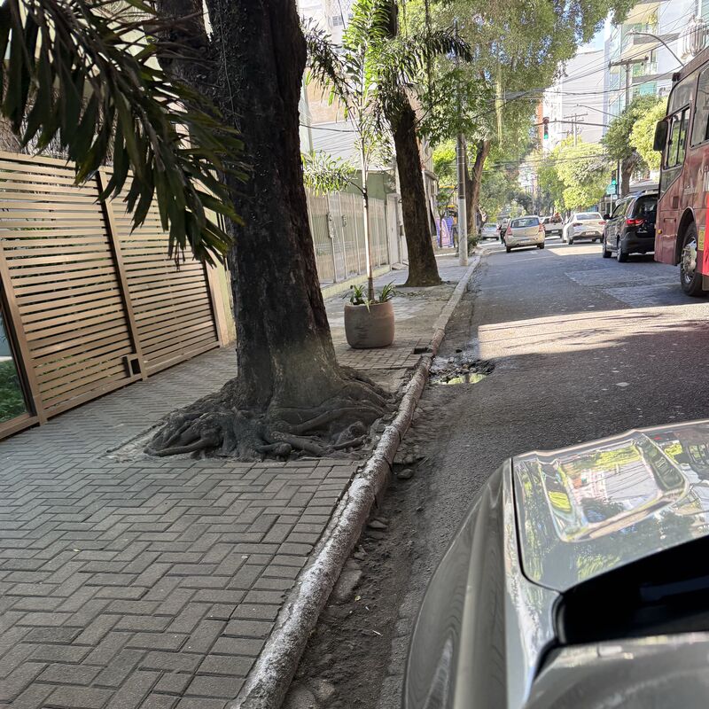 Imagem da publicação