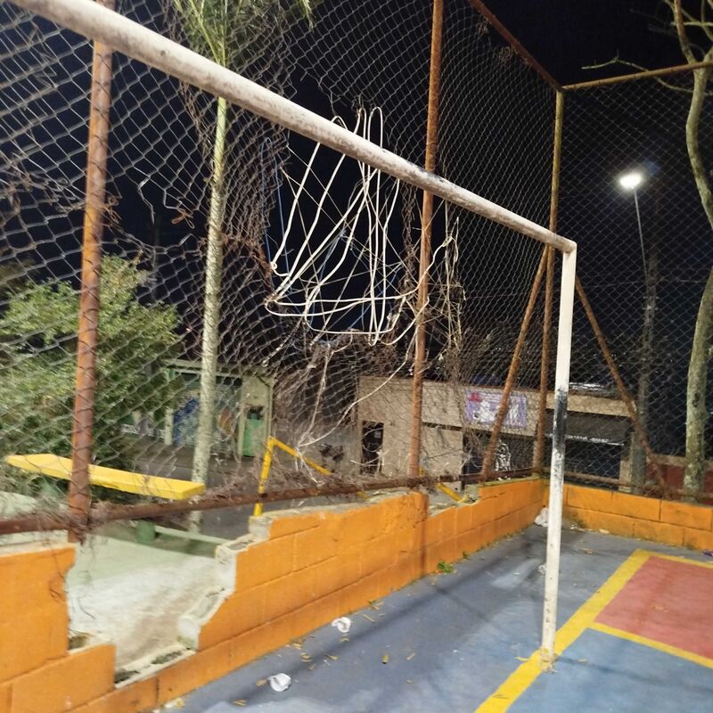 Imagem da publicação