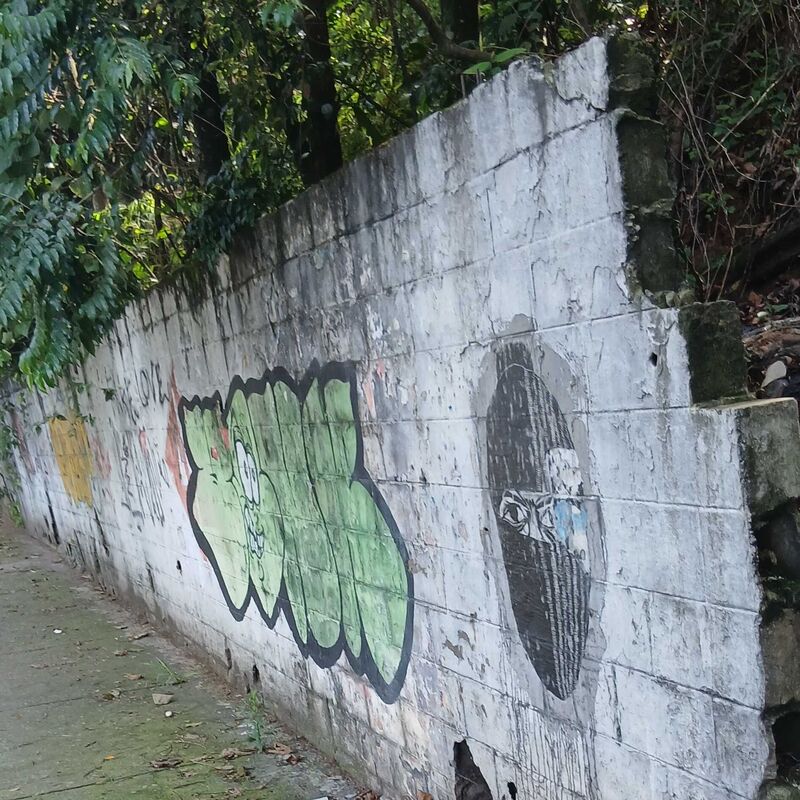 Imagem da publicação