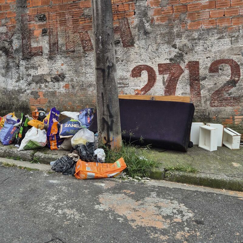 Imagem da publicação