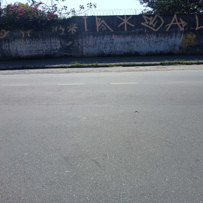 Imagem da publicação