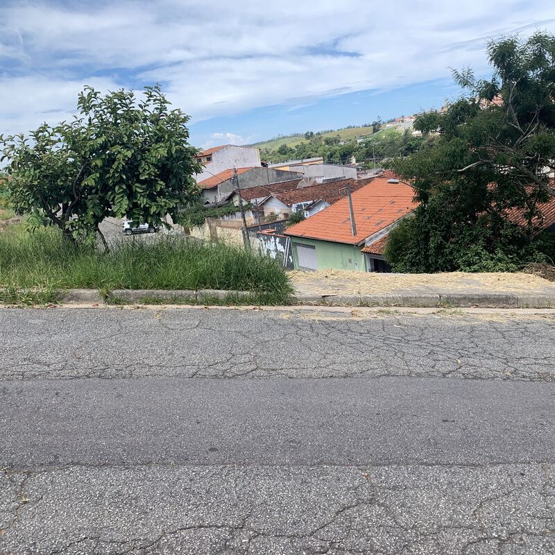 Imagem da publicação