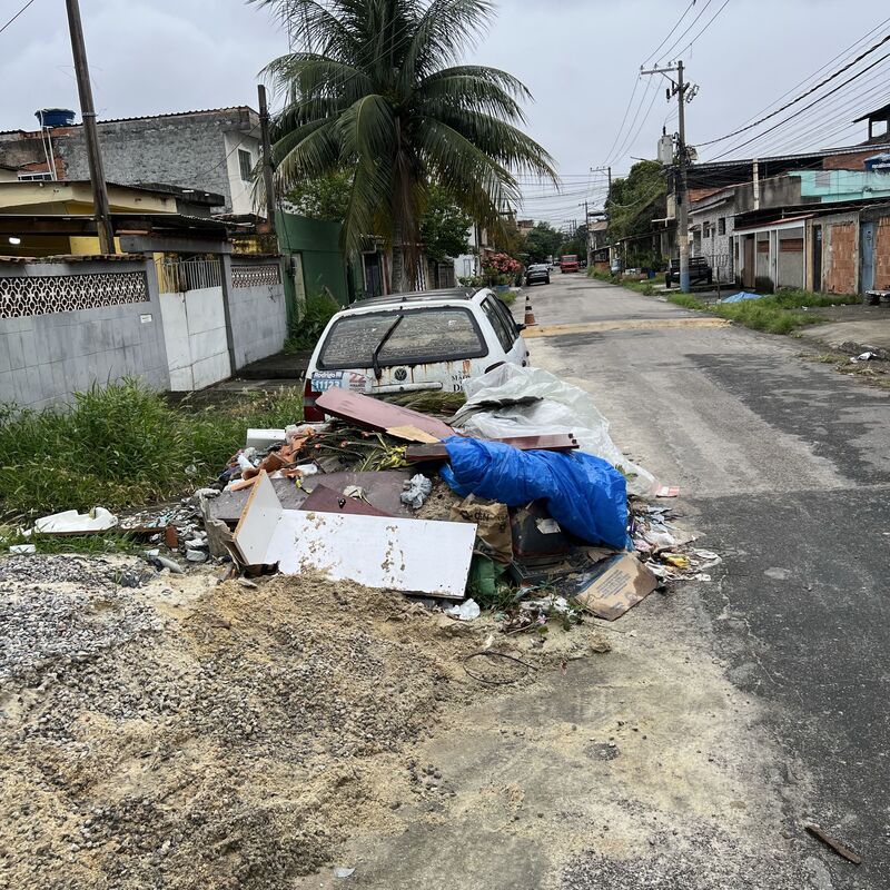 Imagem da publicação