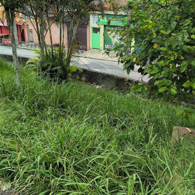 Imagem da publicação