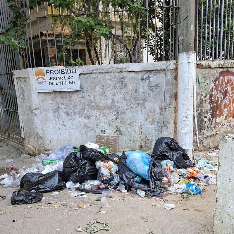 Imagem da publicação