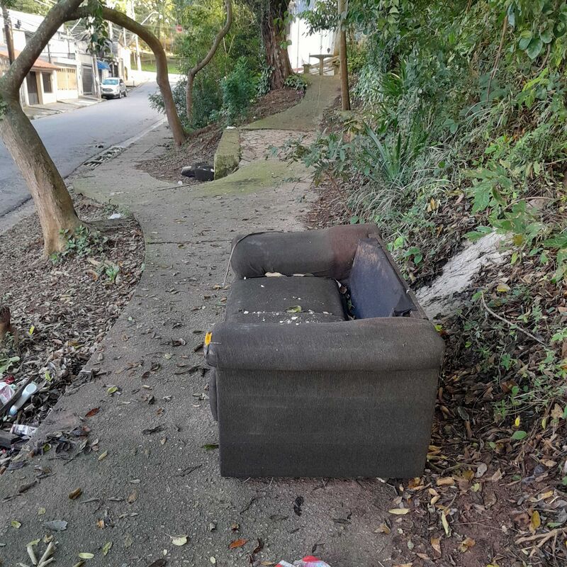 Imagem da publicação