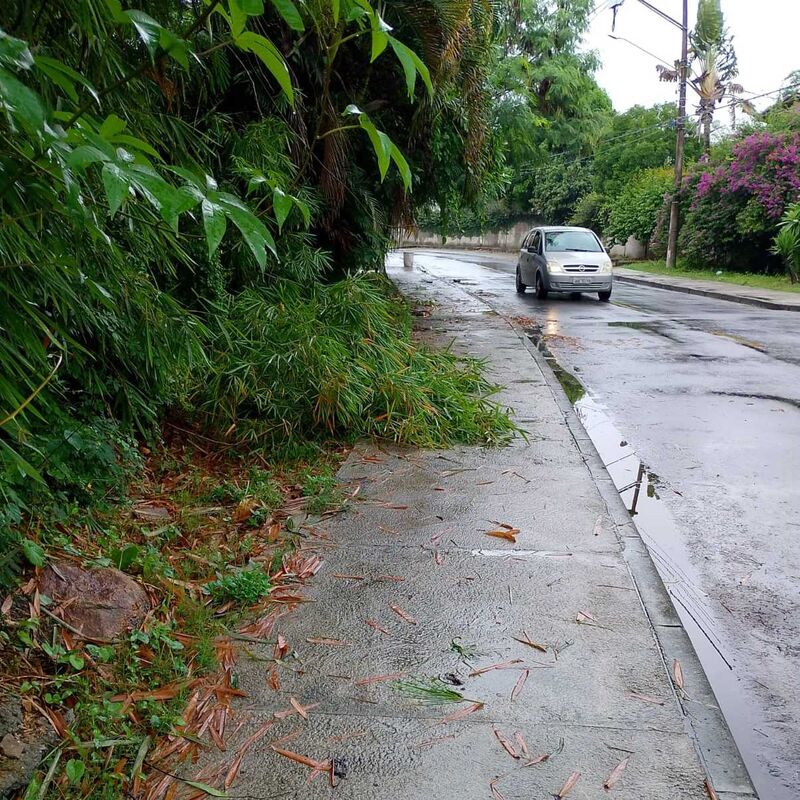 Imagem da publicação