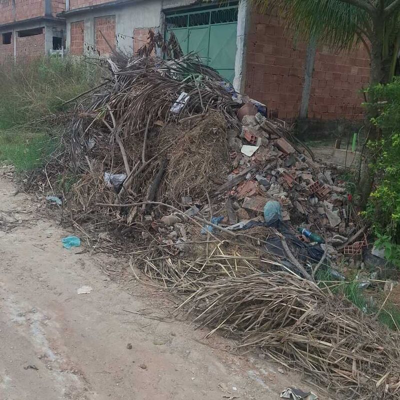 Imagem da publicação