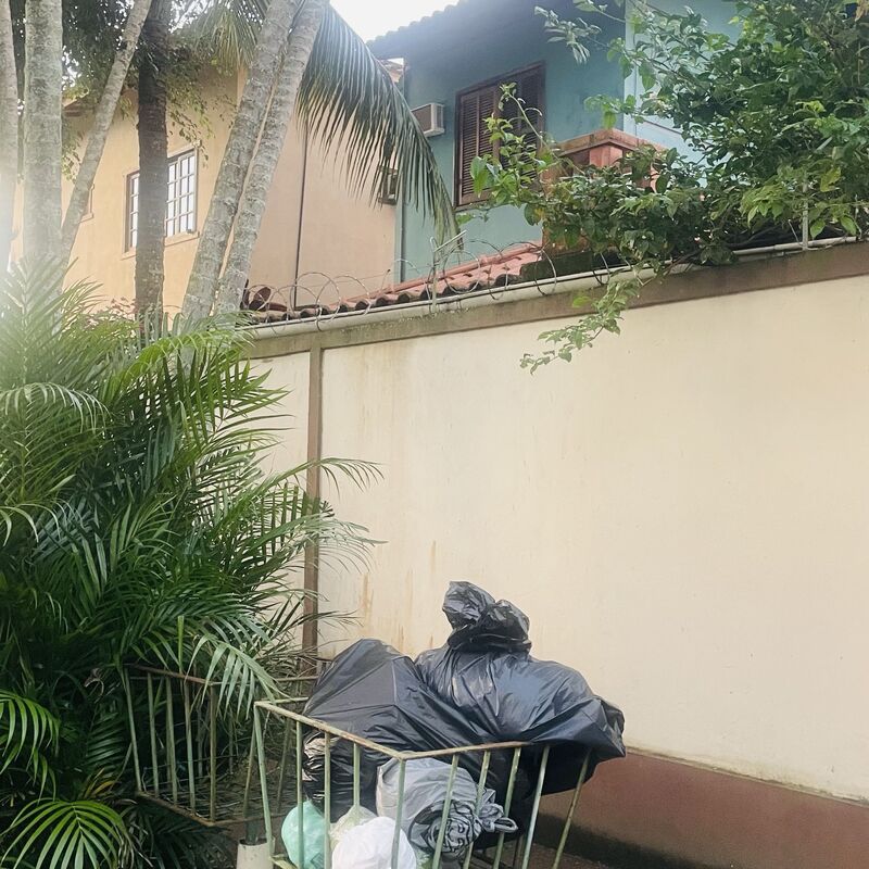 Imagem da publicação