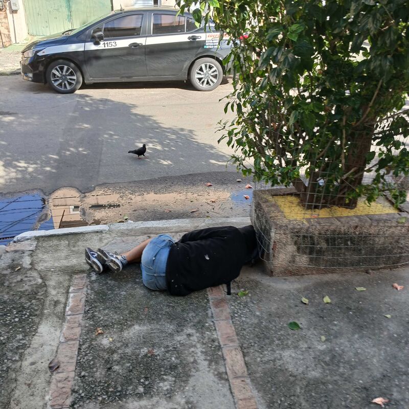 Imagem da publicação