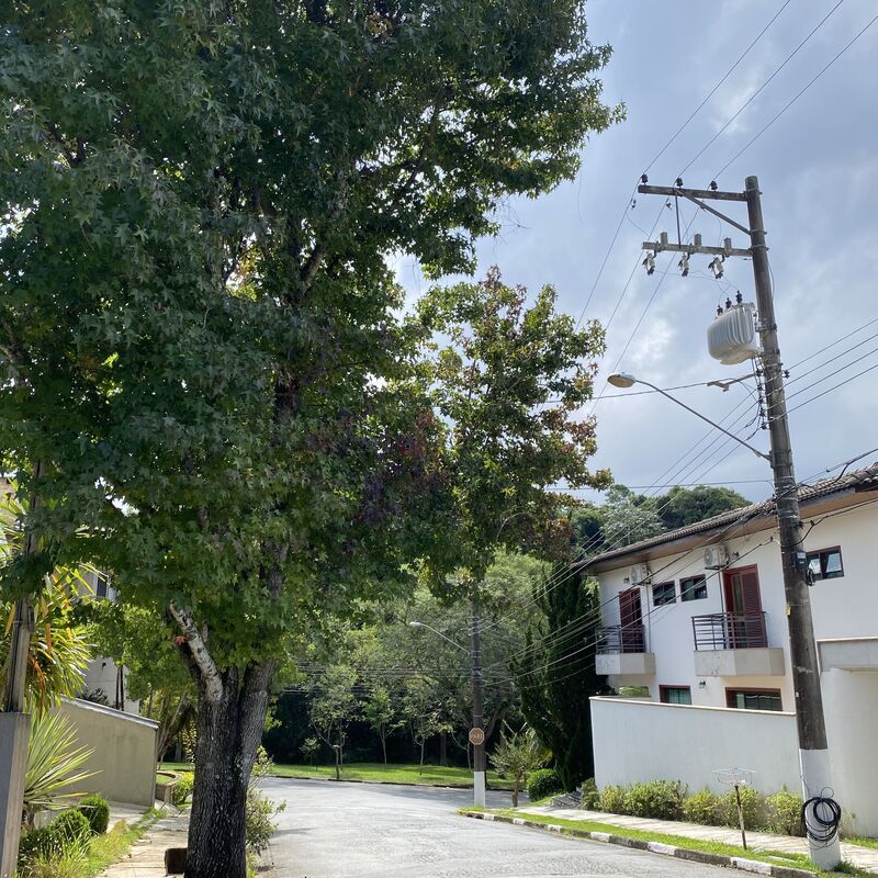 Imagem da publicação