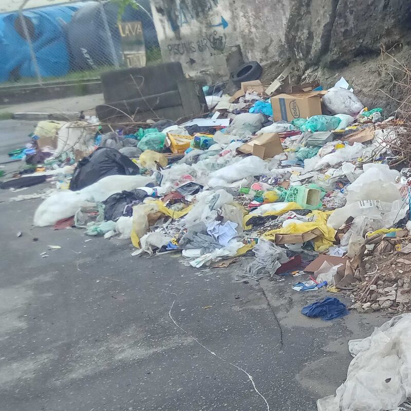 Imagem da publicação