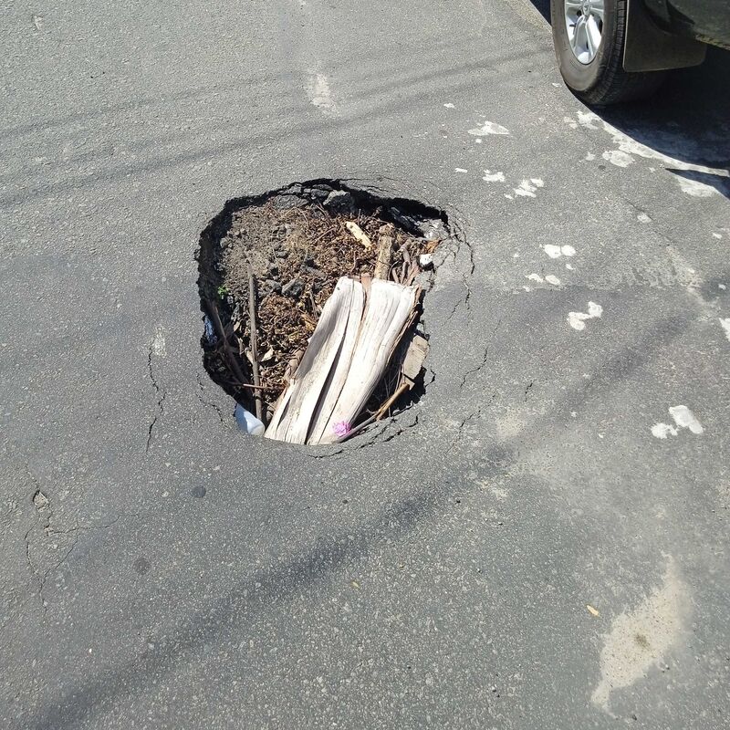 Imagem da publicação