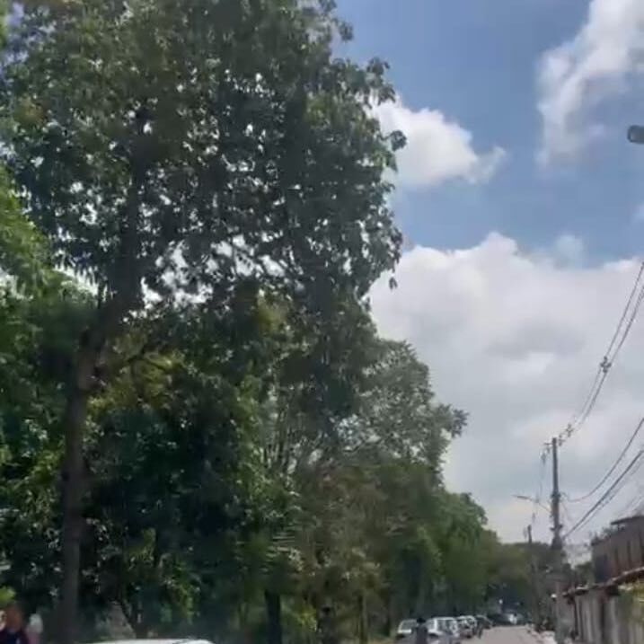 Imagem da publicação