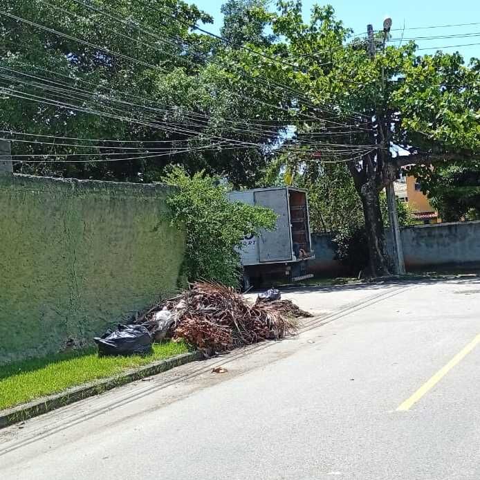 Imagem da publicação