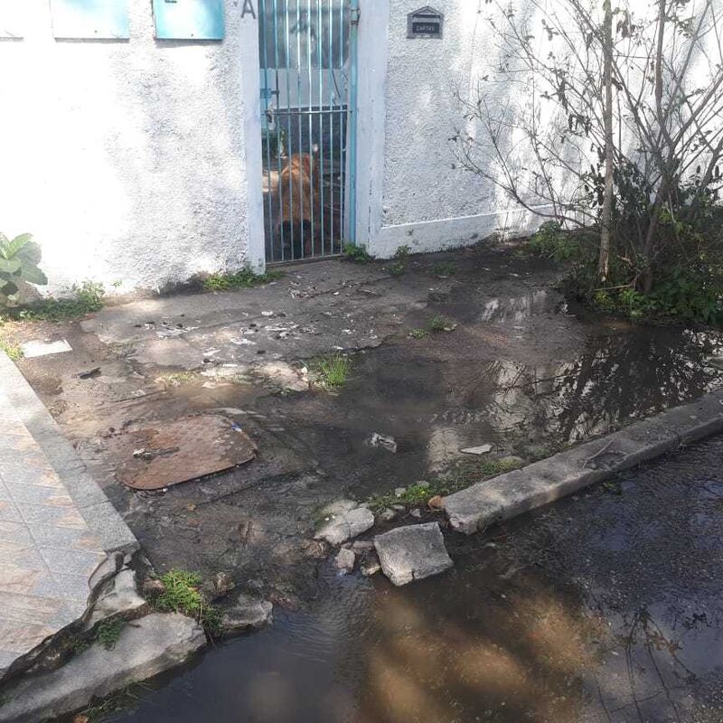 Imagem da publicação