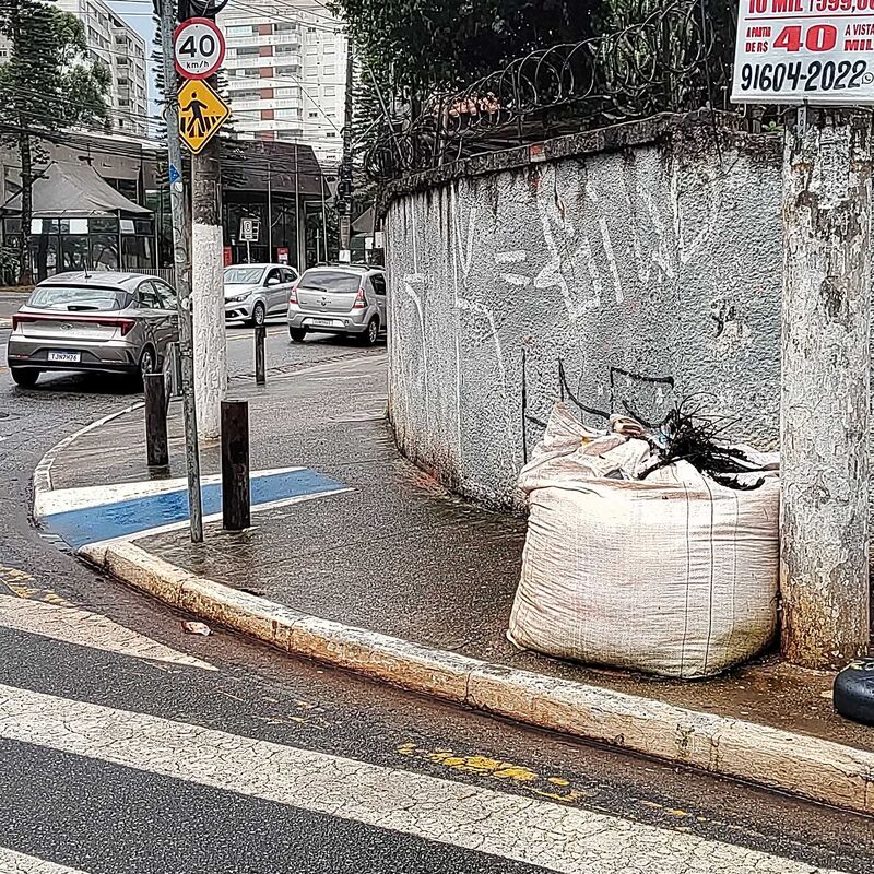Imagem da publicação