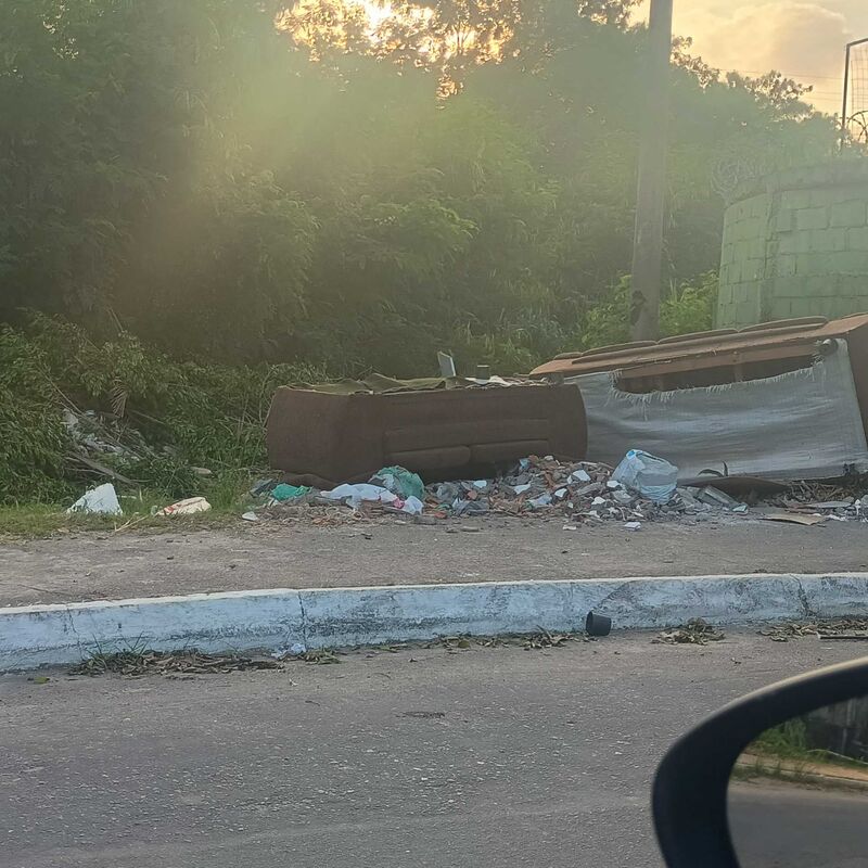 Imagem da publicação