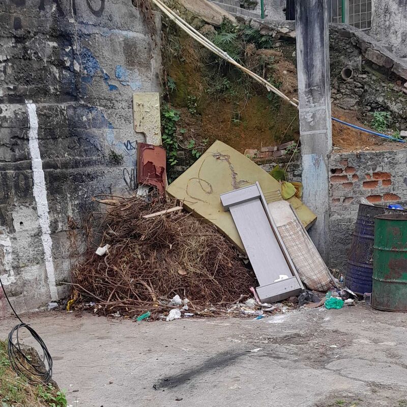 Imagem da publicação