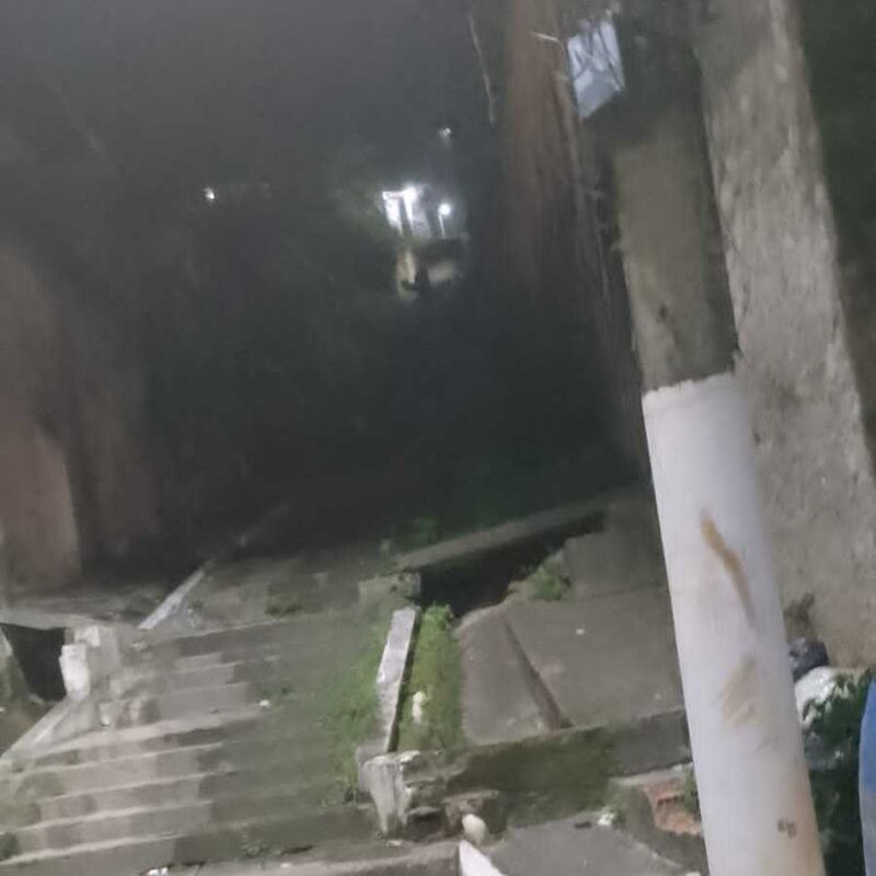 Imagem da publicação
