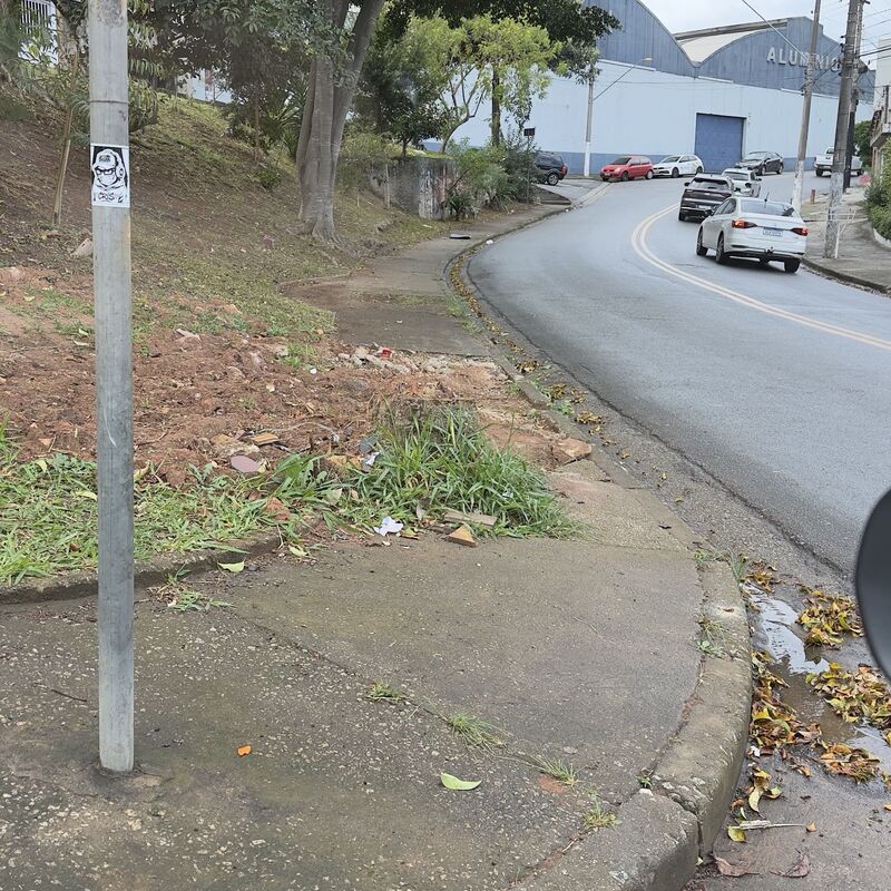 Imagem da publicação