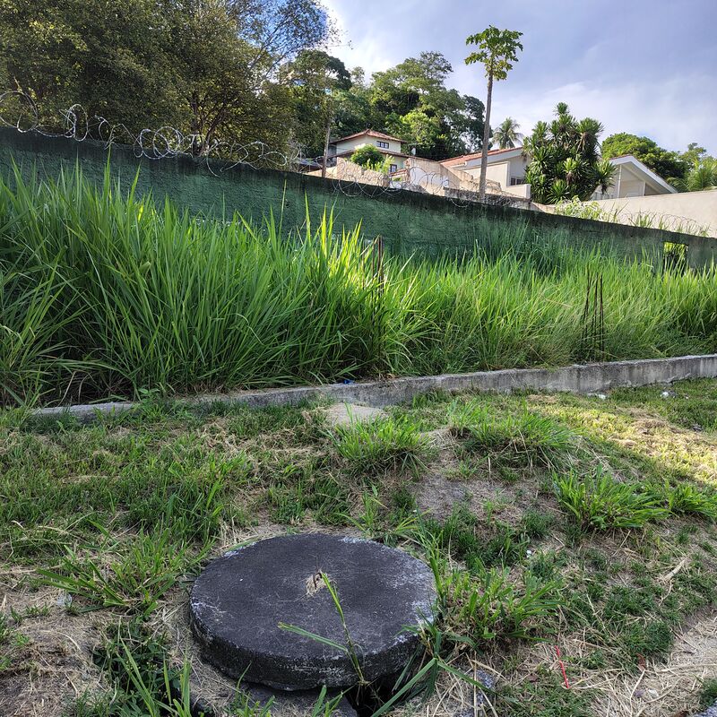 Imagem da publicação