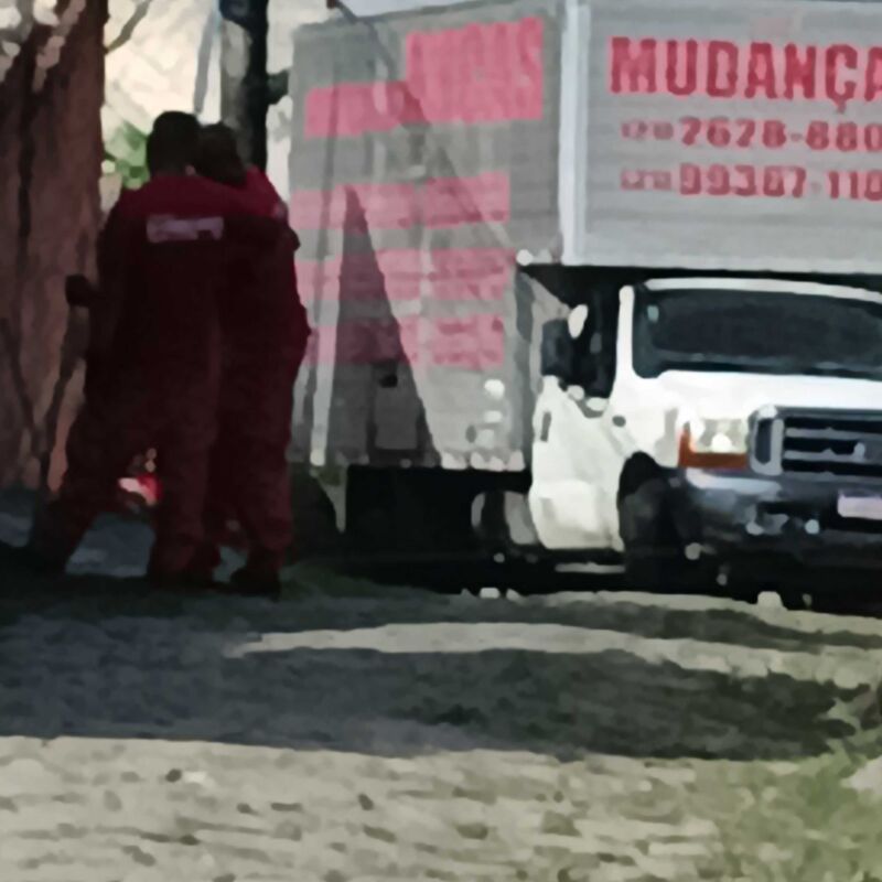 Imagem da publicação