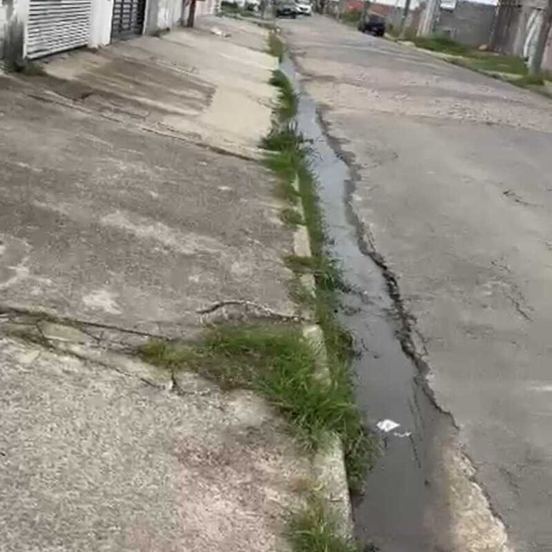 Imagem da publicação