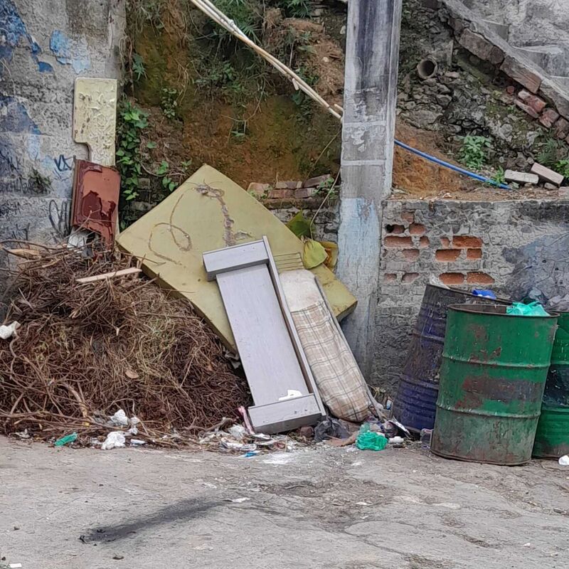 Imagem da publicação