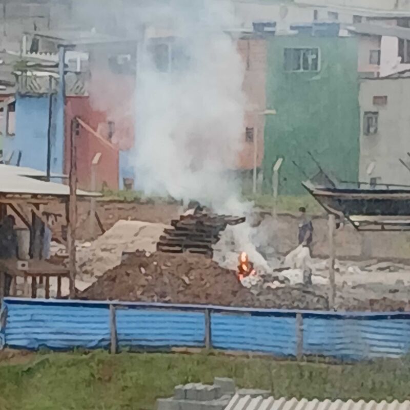 Imagem da publicação