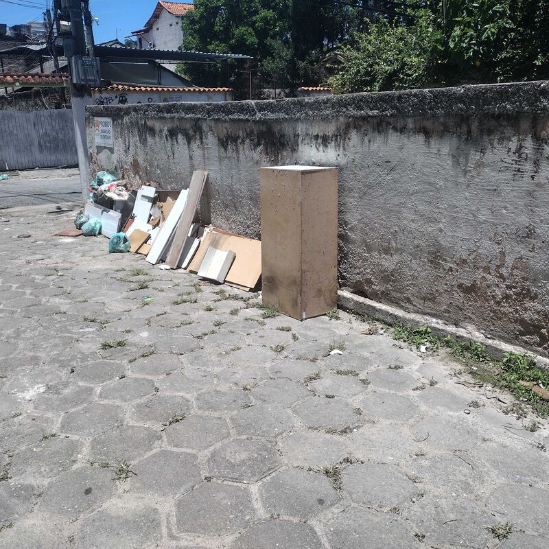 Imagem da publicação